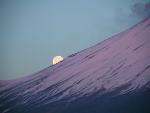 IMG_1978