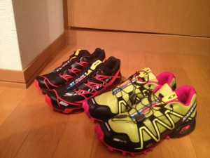 昨年履きつぶしたトレイルラン靴。デザインがとても好きで衝動買いしました。