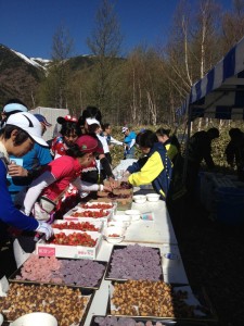 35ｋｍ地点のエイドにて。イチゴの山とブドウに感動した。 後ろには八ヶ岳のほか甲斐駒岳が見える。