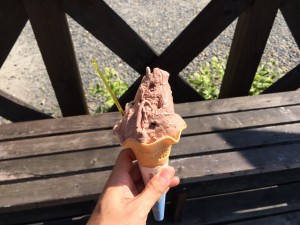 IMG_2482