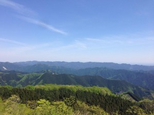 向こうの稜線まで走って参ります。天気最高！