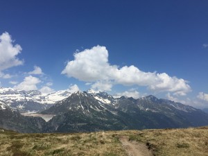 IMG_6436