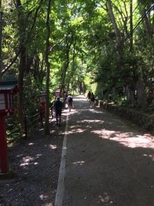 image2 (1)