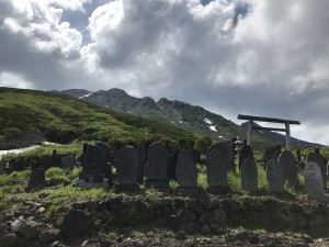 IMG_0122