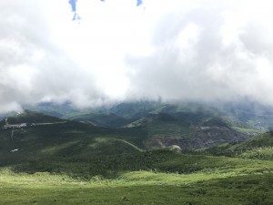 IMG_0518