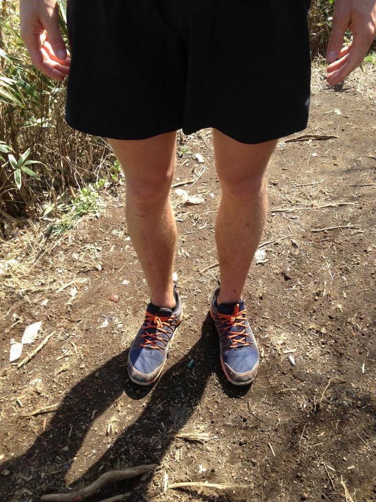 今回の日本ではJoeはずっとこのinov8 trailroc255をはいている様です。シューズの耐久性を重視して練習や１足で様々な状況に対応しないといけない時は255、レースではtrailroc235やroclite243等がお気に入りとの事でした。