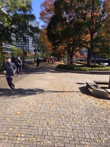 皇居はぽかぽか。本を読んでいたらブログを読んで頂いている方に声をかけて頂きました。