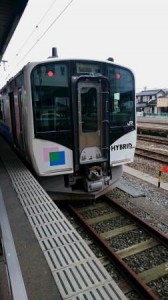 hibrid