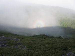 IMG_1695
