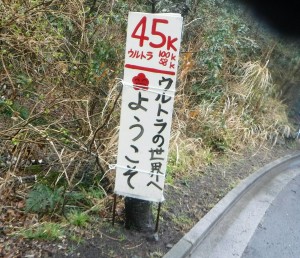 izu-1