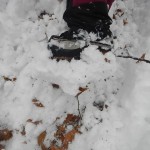 DSCN2832