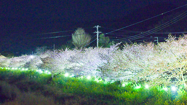 20170225-IMGP2320