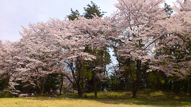 20170416-DSC_0306