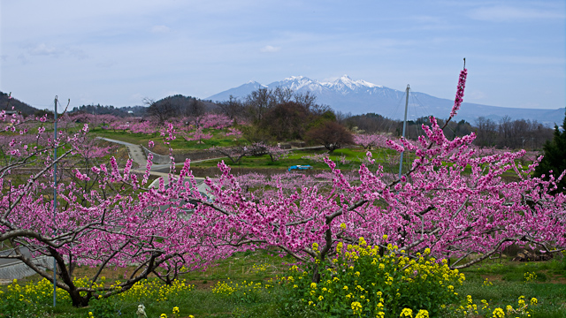 20170416-IMGP9775