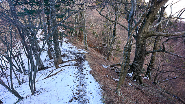 20171210-DSC_0522