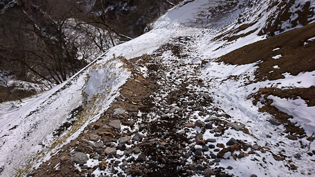20180218-DSC_1062