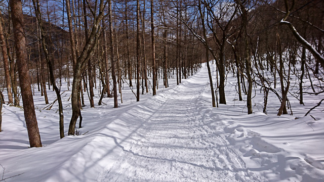 20180218-DSC_1067