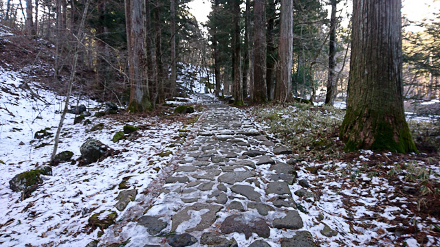20180218-DSC_1082