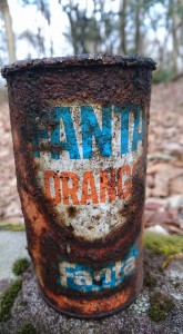 16730605_1906278629594140_7767490621306847208_n