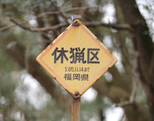 写真撮影:尾崎隼