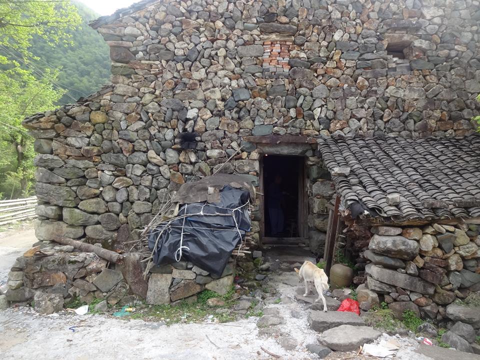 タケノコの里の石造りの家。趣深し。