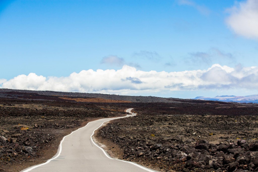 19449228_1233054320138825_636504827_o