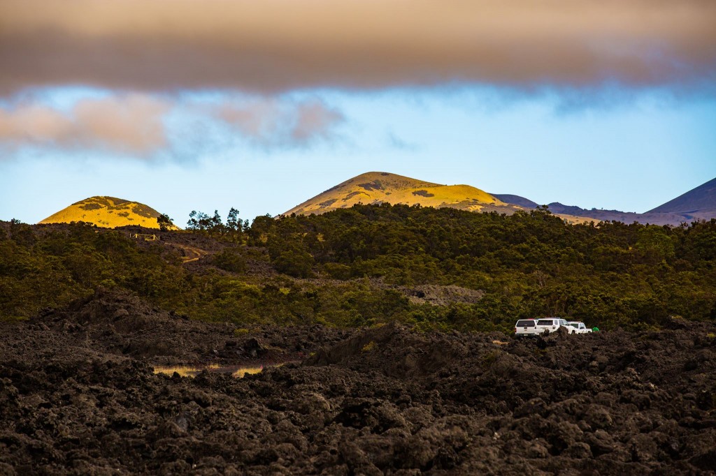 19451862_1233054183472172_1599735180_o