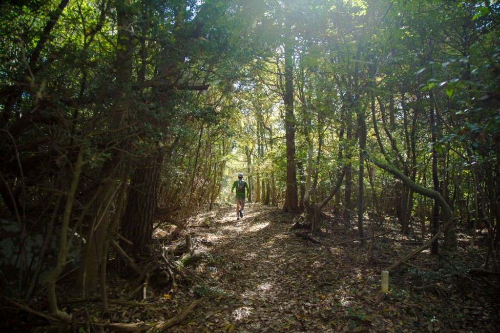 修験道トレイル in 上毛町のコースである九州自然歩道（村上智一さん撮影）