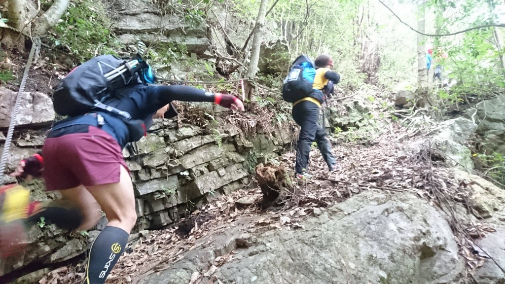 足元は落ち葉でふかふか。