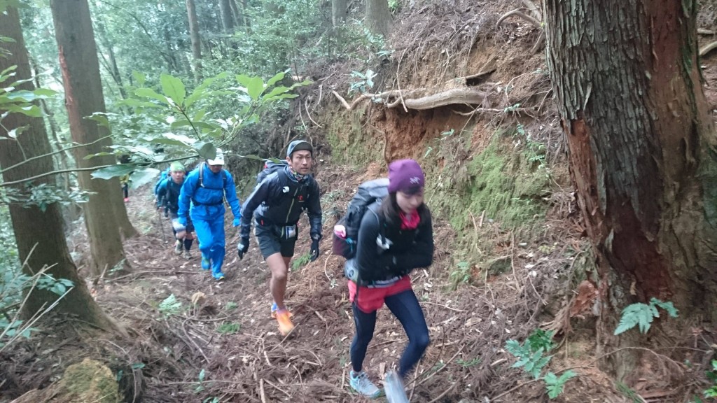 ザックの重さがあるので、登りは走れそうでなかなか走れない。