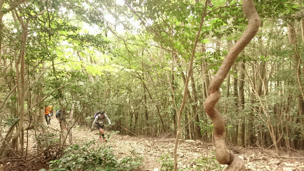 徐々に口数が減っていく。