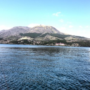 __ (13)