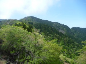 P1020085