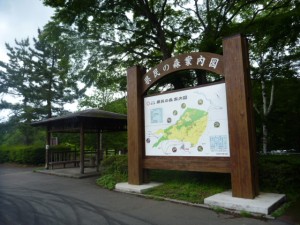 P1020264