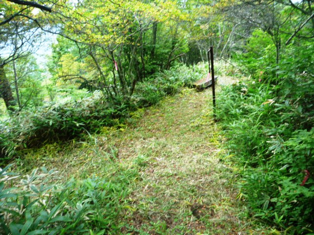 19.4km地点。小海町の町花サラサドウダンツツジの群生地。県の天然記念物。6月中旬から7月上旬が見頃らしい。きれいに整備されている。いくつか分岐があるが少しうろ覚えで遠回りしたかもしれない。基本下りを選べば間違いない。
