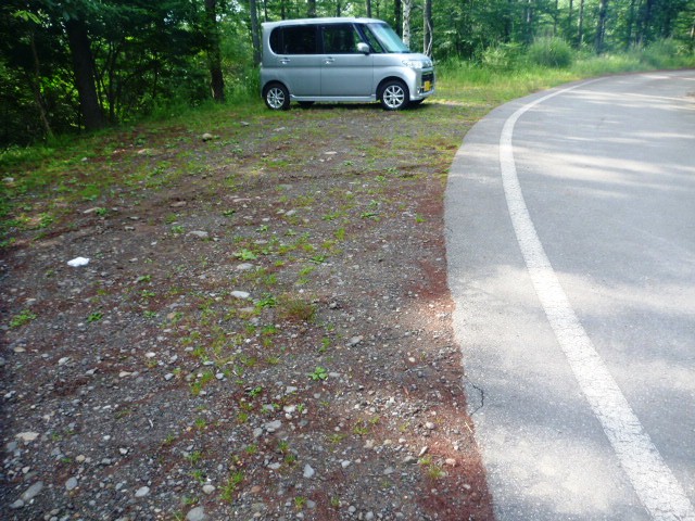 8.0km地点。林道から八ヶ岳林道と呼ばれる舗装路へ出る。出た所は本沢温泉入口駐車場となっており、隅の方に最初のエイドが設置される。舗装路は稲子湯方面へ下る。